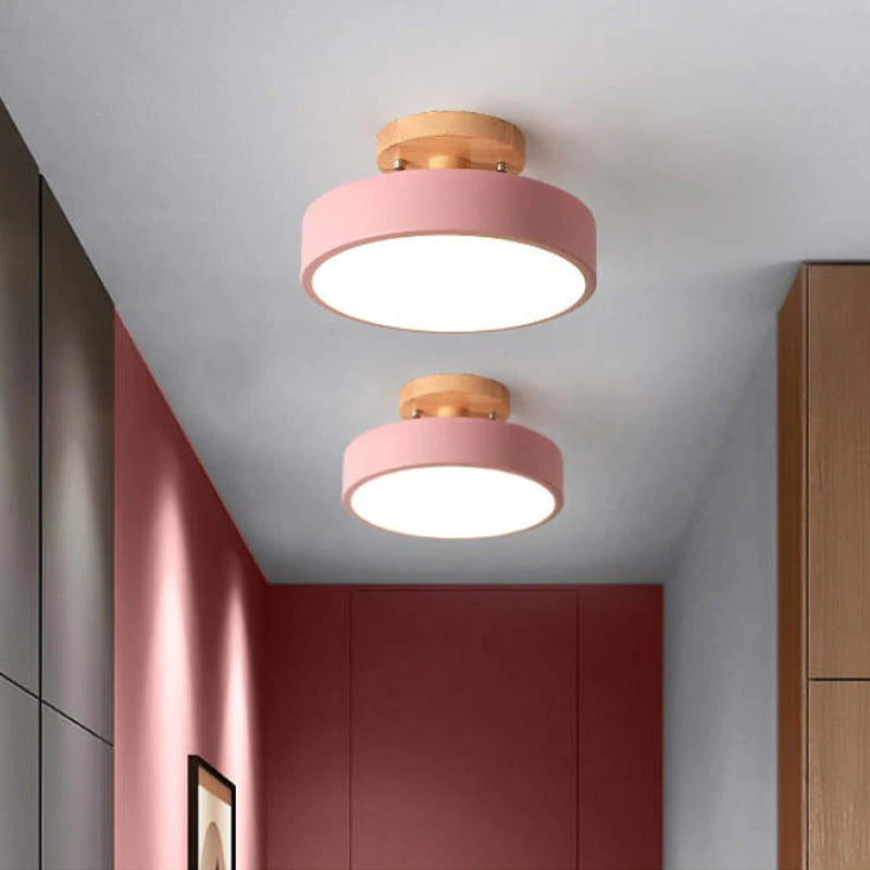 Quinn Modern LED Ceiling Light