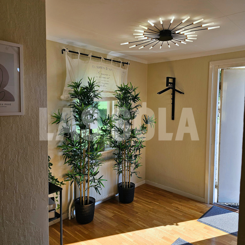 Albina - Modern Ceiling Light for Living Room and Bedroom