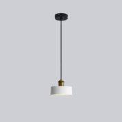 FormaLuxe - Modern Metal and Resin Chandelier
