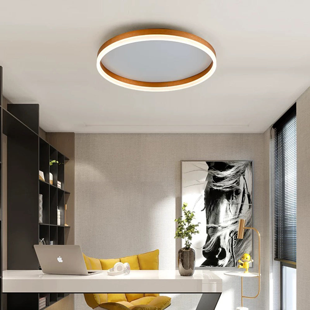 Arisha Modern LED Ceiling Light in Metal