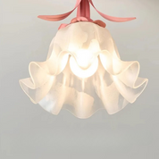 French Ceiling Lamp - Warm Decorative Lighting