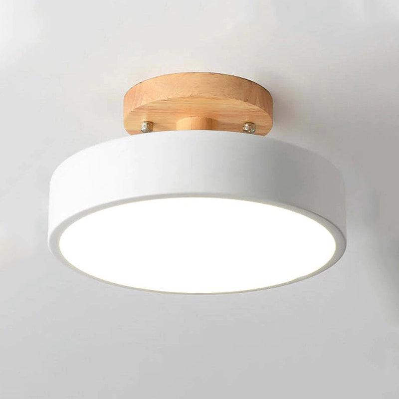 Quinn Modern LED Ceiling Light