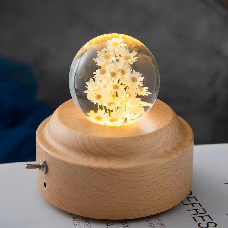 LED Night Light with Crystal Ball