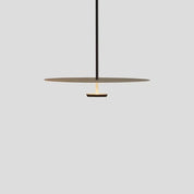 ElegantArc - Modern Ring Pendant Light