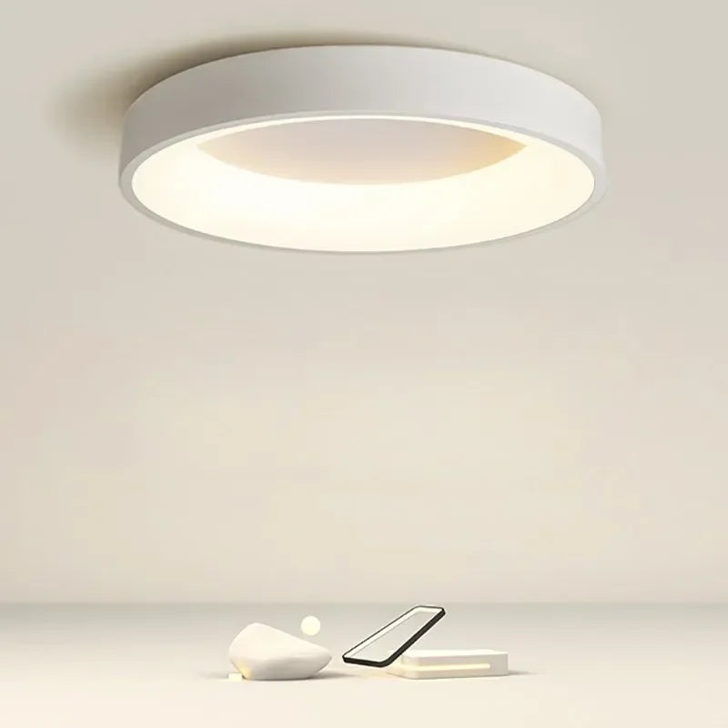 Nordic-LED-Round-Ceiling-Lights-Modern-Black-White-Gray-Home-Decor-Lamps-For-Bedroom-Living-Room_800x_06cff8f1-cb29-4c06-b7bc-f421bd8e2940.webp