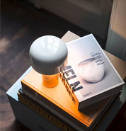 MushroomLamp - Mushroom Table Lamp