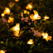 BeeGlow - Solar String Lights for Outdoors