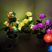 GardenBliss - Solar Rose Lantern