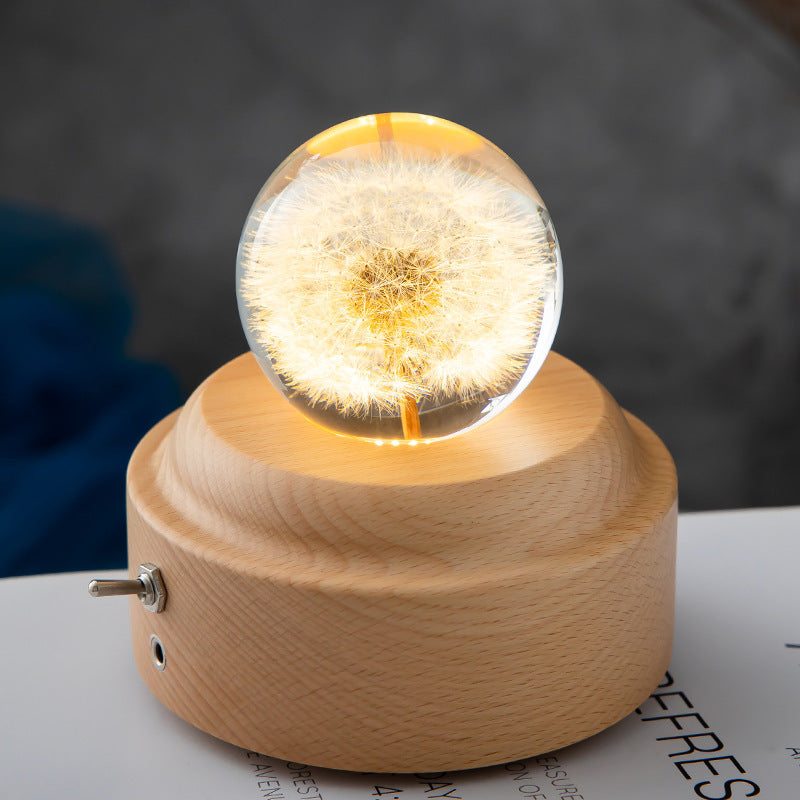 LED Night Light with Crystal Ball