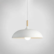 Pendant Lights Made of Metal and Wood in Soft Pastel Shades