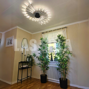 Albina - Modern Ceiling Light for Living Room and Bedroom